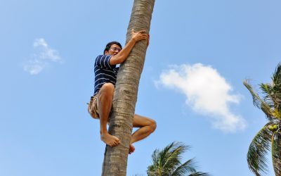 Wie Sie Ihre Kunden von der Palme holen